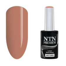 NTN Premium New - 13 műköröm zselé