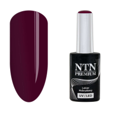 NTN Premium New - 131 műköröm zselé