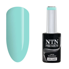 NTN Premium New - 177 műköröm zselé