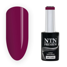 NTN Premium New - 204 műköröm zselé