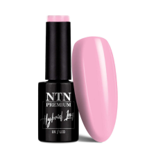NTN Premium New - 93 - Dessert lakk zselé