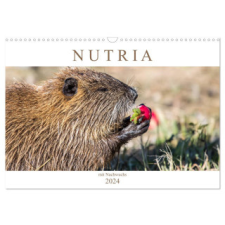 NUTRIA mit Nachwuchs (Wandkalender 2024 DIN A3 quer), CALVENDO Monatskalender – Schnellewelten naptár, kalendárium