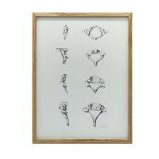 NYAKI csigolyák ANATÓMIAI VÁSZFESTÉS ANATÓMIÁJA FALRA 50x70cm grafika, keretezett kép