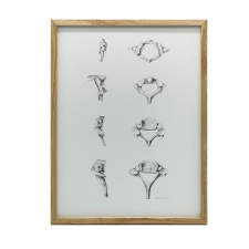 NYAKI CSIGOLYÁK GYÓGYVÁSZRA FESTMÉSE 30x40 CM grafika, keretezett kép