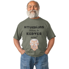 Nyugdíjas lettem, de kedves nem - Férfi Póló férfi póló