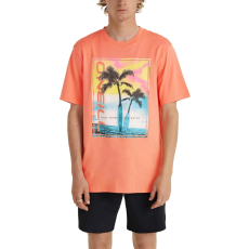 O'Neill Jack O Neill Neon T-Shirt  D