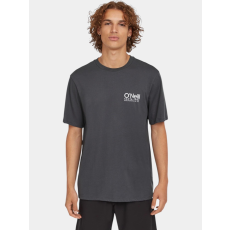 O'Neill Original Cali Logo T-Shirt D