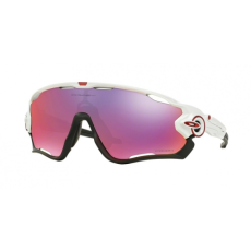 Oakley JAW BREAKER 9290-05