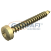 OBO 3198034 4758T 4.0x25 Golden-Sprint Csavar D-fejű, T Drive hajtás 4x25mm acél galvanikusan horganyzott, sárgára passziválva