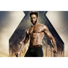 OEM Asztal vászon Wolverine X Men, 80x50cm grafika, keretezett kép