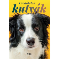 OEM Csodálatos kutyák (2022) egyéb könyv