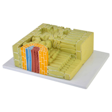 OEM Levélszerkezet-modell oktatójáték