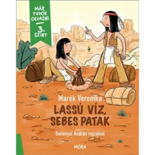 OEM Marék Veronika - Lassú víz sebes patak egyéb könyv