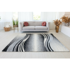 OEM Modern szőnyeg Alina 2456 (Grey) 200x280cm Szürke lakástextília