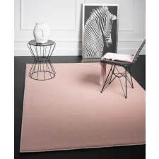 OEM Modern szőnyeg Darwin (Pink) 160x230cm Púder lakástextília