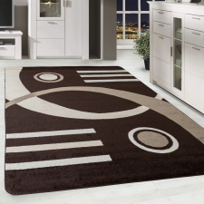 OEM Modern szőnyeg Scarlett 4801 (Brown) 240x330cm Barna lakástextília