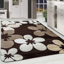 OEM Modern szőnyeg Scarlett 4808 (Brown) 200x290cm Barna lakástextília