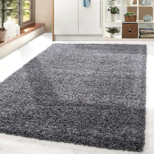 OEM Shaggy szőnyeg Arena (Dark Grey) 200x290cm Sötét Szürke lakástextília