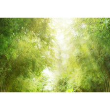 OEM Tablou vászon felnéz az égre az édeskömény leveleken keresztül, 80x50cm, tabloucanvas334 grafika, keretezett kép