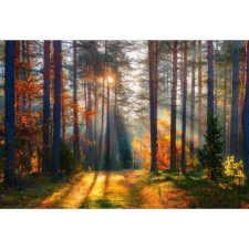 OEM Tablou vászon napsugarak az őszi fákon keresztül, 80x50cm, tabloucanvas339 grafika, keretezett kép