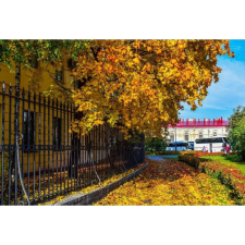 OEM Tablou vászon Őszi jelenetek a városban, 80x50cm, tabloucanvas1241 grafika, keretezett kép
