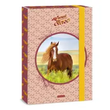OfficeFox Füzetbox ARS UNA A/4 My Sweet Horse füzetbox