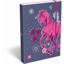 OJS Girl Filly füzetbox A/4, lovas füzetbox