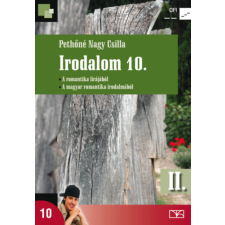 Oktatáskutató Intézet Irodalom 10. II. antikvárium - használt könyv