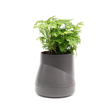 Önöntöző cserép, DesignNest, Plant Pot Large, szürke kerti tárolás