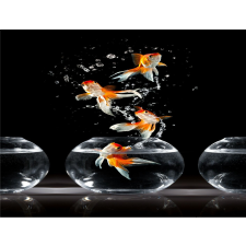  Öntapadó és lemosható fali tapéta Összetétel 35, 250 x 200 cm tapéta, díszléc és más dekoráció