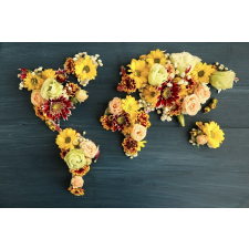  Öntapadó és lemosható fali tapéta Virágkontinensek, 300 x 250 cm tapéta, díszléc és más dekoráció