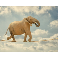  Öntapadó és mosható falfestmény Elefánt akrobata, 300 x 200 cm tapéta, díszléc és más dekoráció