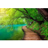  Öntapadó és mosható falfestmény Fapadló a folyó felett az erdőben, 400 x 250 cm