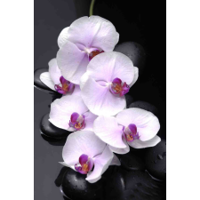  Öntapadó és mosható falfestmény Fehér orchideák kövekkel, 250 x 200 cm tapéta, díszléc és más dekoráció
