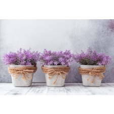  Öntapadó és mosható falfestmény Flori71, 250 x 200 cm tapéta, díszléc és más dekoráció