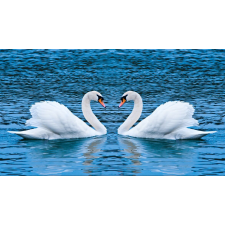  Öntapadó és mosható falfestmény Hattyúk a tavon, 350 x 200 cm tapéta, díszléc és más dekoráció