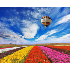  Öntapadó és mosható falfestmény Léggömb virágmező felett, 250 x 200 cm tapéta, díszléc és más dekoráció