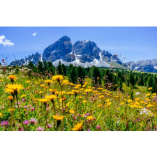  Öntapadó és mosható falfestmény Natura101, 200 x 150 cm tapéta, díszléc és más dekoráció