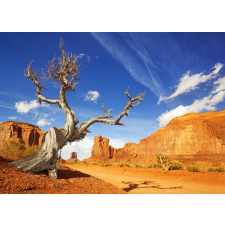  Öntapadó és mosható falfestmény Natura173 Arizona Grand Canyon, 350 x 200 cm tapéta, díszléc és más dekoráció