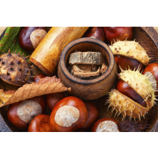  Öntapadó és mosható falfestmény Összetétel 23, 400 x 250 cm tapéta, díszléc és más dekoráció