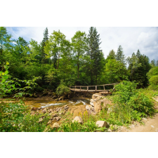  Öntapadó és mosható falfestmény Padure66 platformmal, 250 x 150 cm tapéta, díszléc és más dekoráció