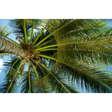  Öntapadó és mosható falfestmény pálmafa alatt, 400 x 250 cm tapéta, díszléc és más dekoráció