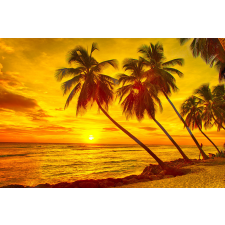  Öntapadó és mosható falfestmény Pálmafák naplementekor, 300 x 250 cm tapéta, díszléc és más dekoráció