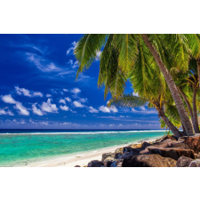  Öntapadó és mosható falfestmény Pálmafák, trópusi tengerpart, 200 x 150 cm tapéta, díszléc és más dekoráció
