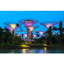  Öntapadó és mosható falfestmény Park Singapore 4, 250 x 150 cm tapéta, díszléc és más dekoráció