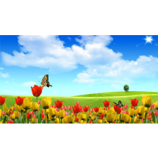  Öntapadó és mosható falfestmény Pillangók és tulipánok, 300 x 200 cm tapéta, díszléc és más dekoráció