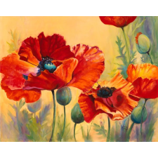  Öntapadó és mosható falfestmény Pipacsok, 200 x 150 cm tapéta, díszléc és más dekoráció