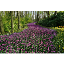  Öntapadó és mosható falfestmény Rózsaszín virágok útja, 400 x 250 cm tapéta, díszléc és más dekoráció