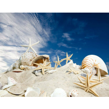  Öntapadó és mosható falfestmény Strand csillagokkal, 250 x 150 cm tapéta, díszléc és más dekoráció