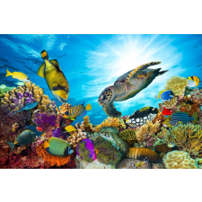  Öntapadó és mosható falfestmény Vízi világ, korallzátony, 200 x 150 cm tapéta, díszléc és más dekoráció